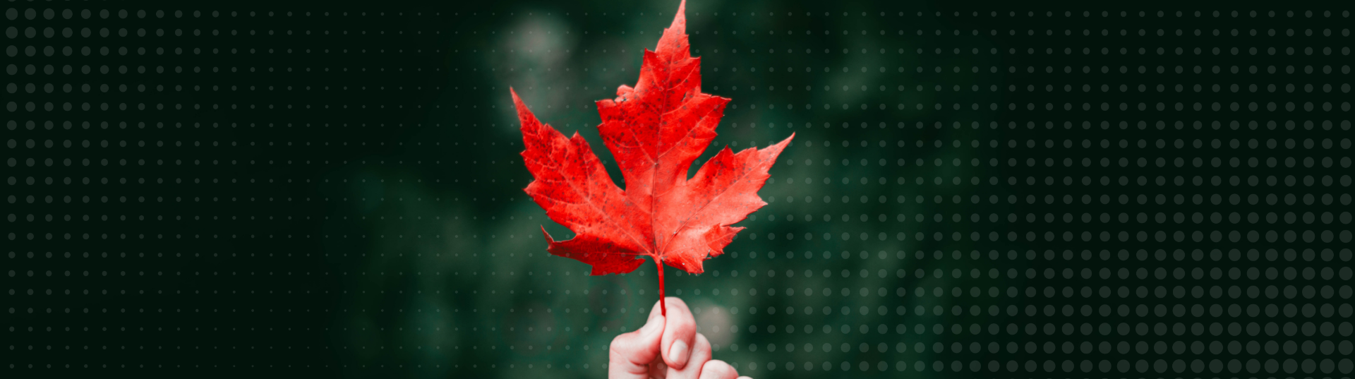 About Us - Canadian Broker Network