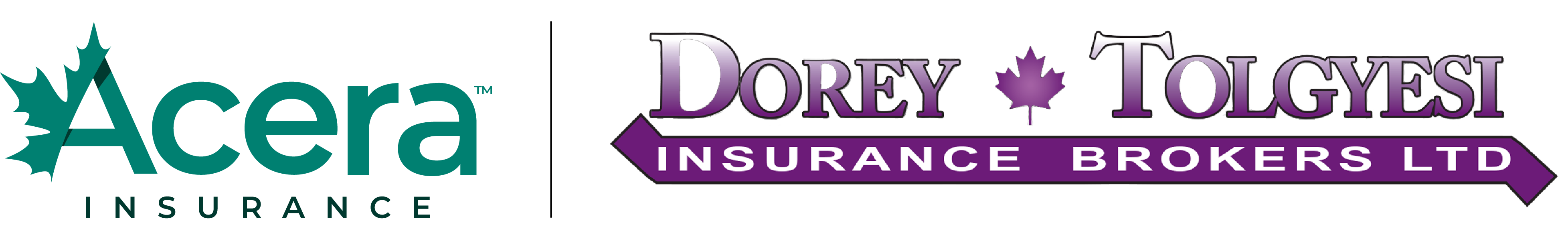 Dorey & Tolgyesi Insurance Brokers